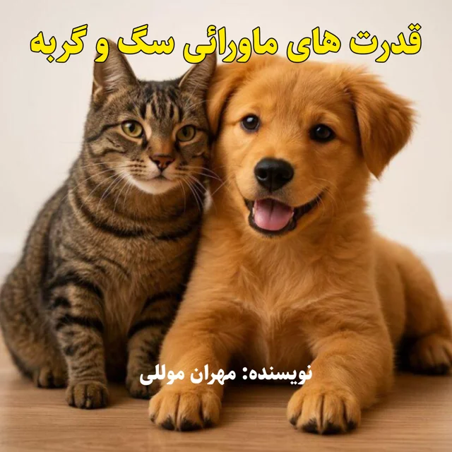 کتاب قدرت های ماورائی سگ و گربه